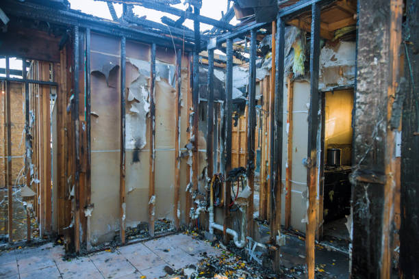 Professional Structural Rebuild technician working in Hudson, TX